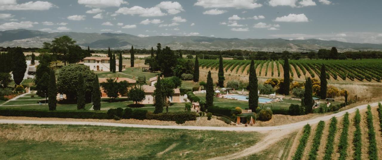 Via Della Stella Villa Valiano Bagian luar foto